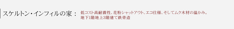 スケルトン・インフィルの家(低コスト高耐震性、花粉シャットアウト、エコ仕様、そしてムク木材の温かみ。地下1階地上3階建て鉄骨造）